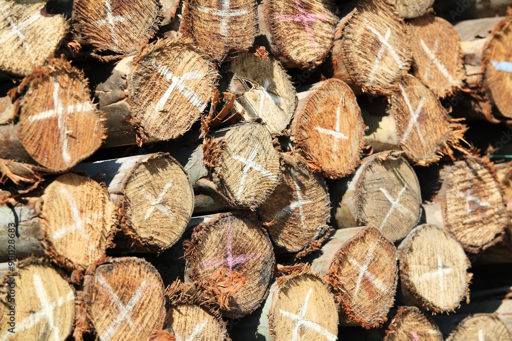 Craies à bois et porte-craie